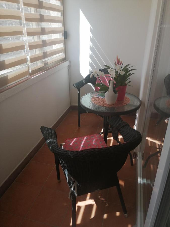 Apartments Mary & Free Parking Rovinj Exterior photo