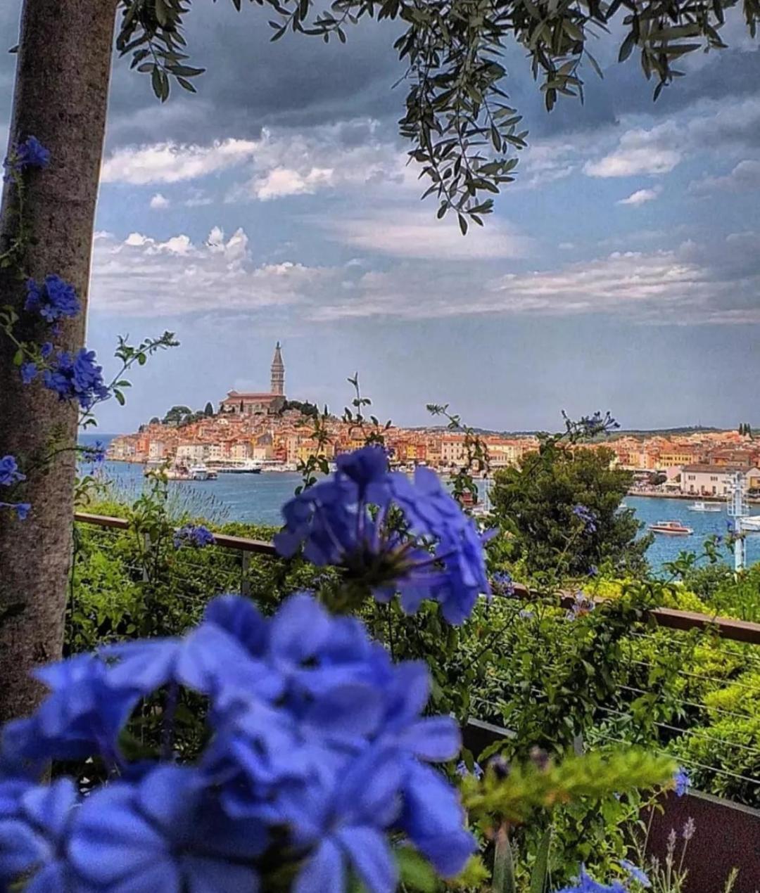 Apartments Mary & Free Parking Rovinj Room photo
